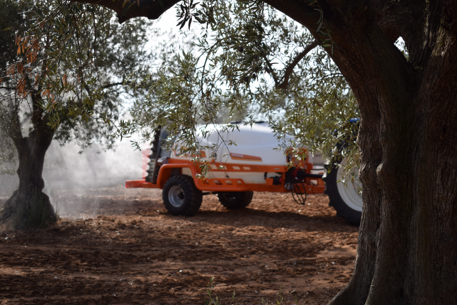 La Importancia del Abonado Foliar en el Cultivo del Olivo: Una Técnica Clave para la Producción y Calidad del Aceite